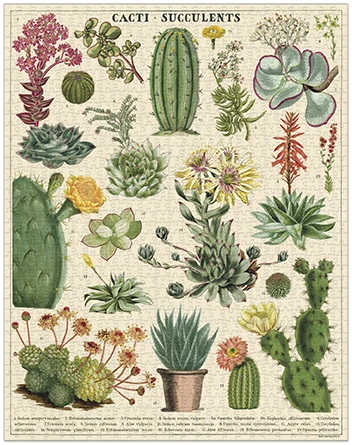 Puzzle Succulents Cavallini 1000 pièces